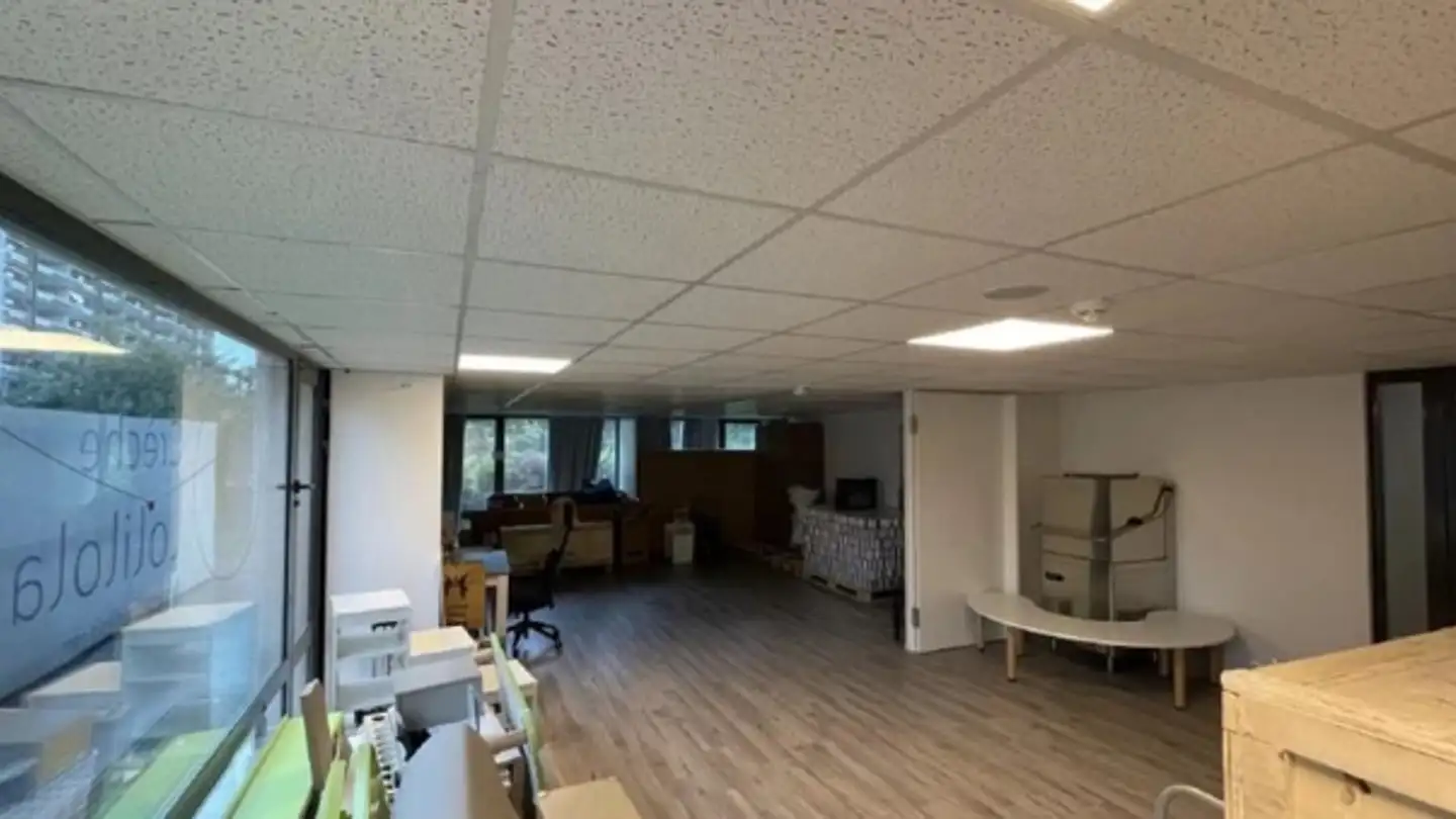 Magasin à louer - Chemin du Champ-d'Anier 5, 1209 Genève - Photo 4