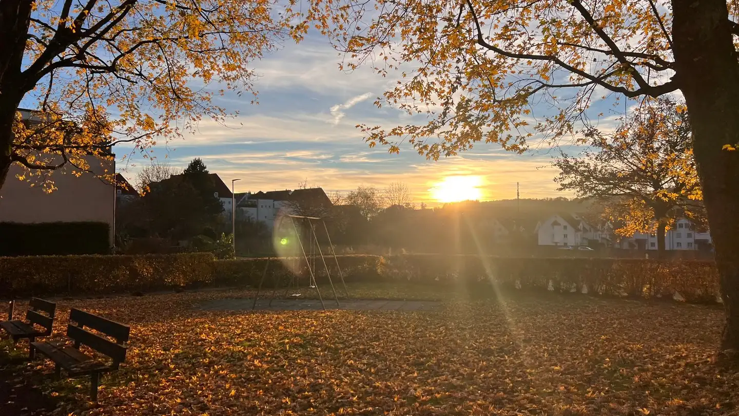 Apartment for rent - Im Muchried 4, 8907 Wettswil