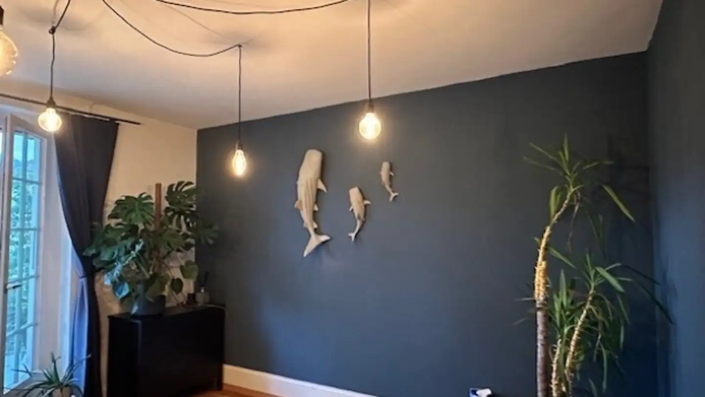 Appartamento in affitto - 3600 Thun - Photo 2