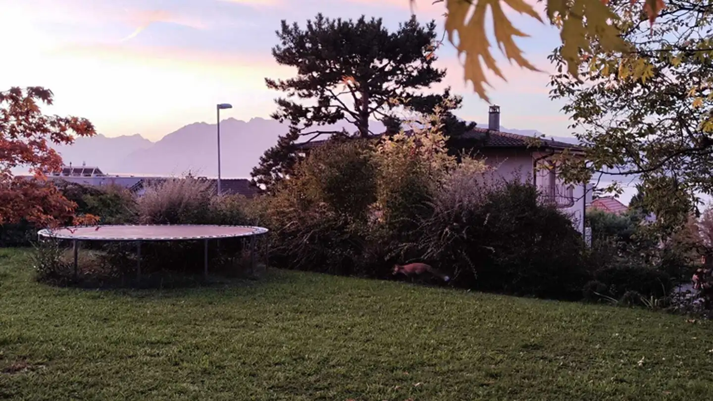 Wohnung mieten - Avenue de l'Avenir 14, 1009 Pully