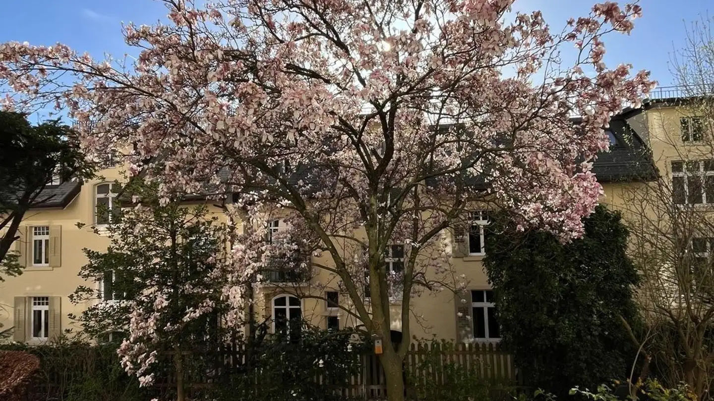 Stanza singola in affitto - Sonneggstrasse, 8006 Zürich - Foto 3