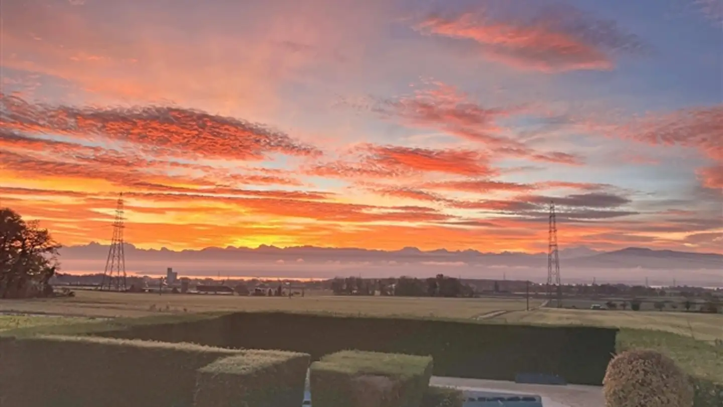 Apartment for rent - 1277 Borex