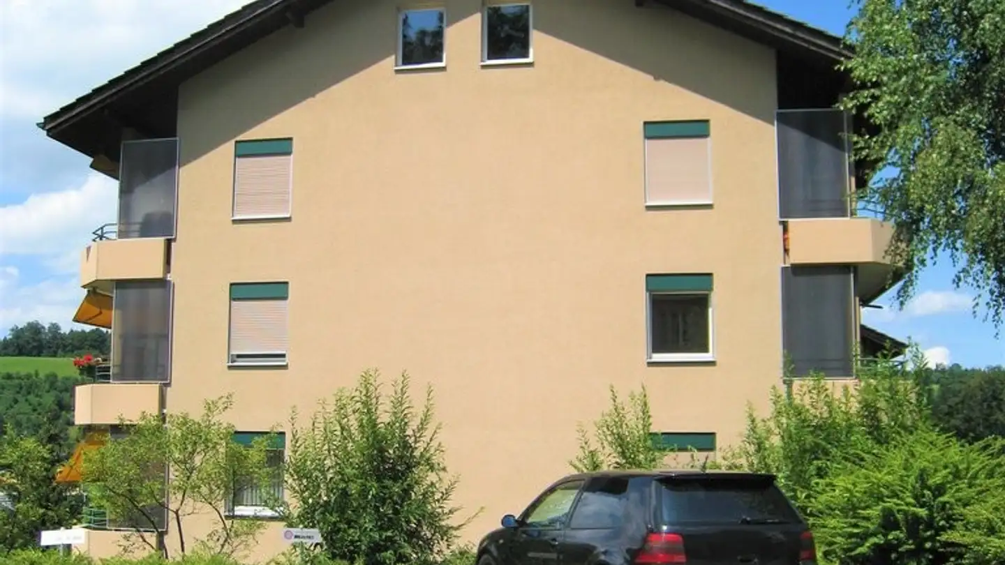 Outdoor parking space for rent - 6030 Ebikon