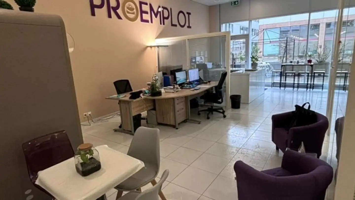 Negozio in affitto - Chemin Du Pré-Fleuri 5, 1228 Plan-les-Ouates - Foto 4