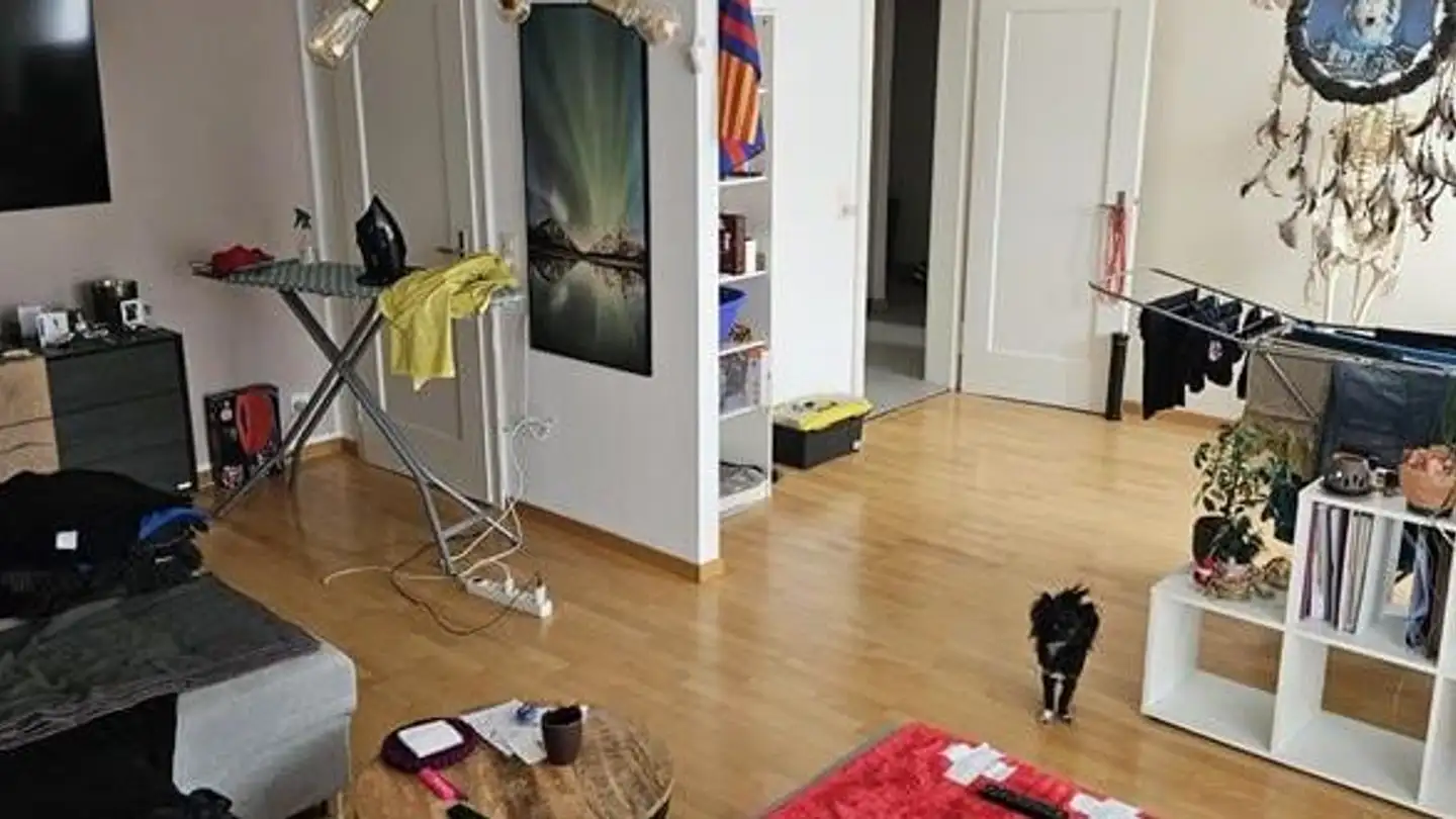 Appartamento in affitto - Zürcherstrasse 24, 5210 Windisch - Foto 2