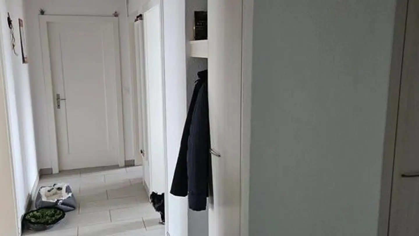 Appartamento in affitto - Zürcherstrasse 24, 5210 Windisch - Foto 3