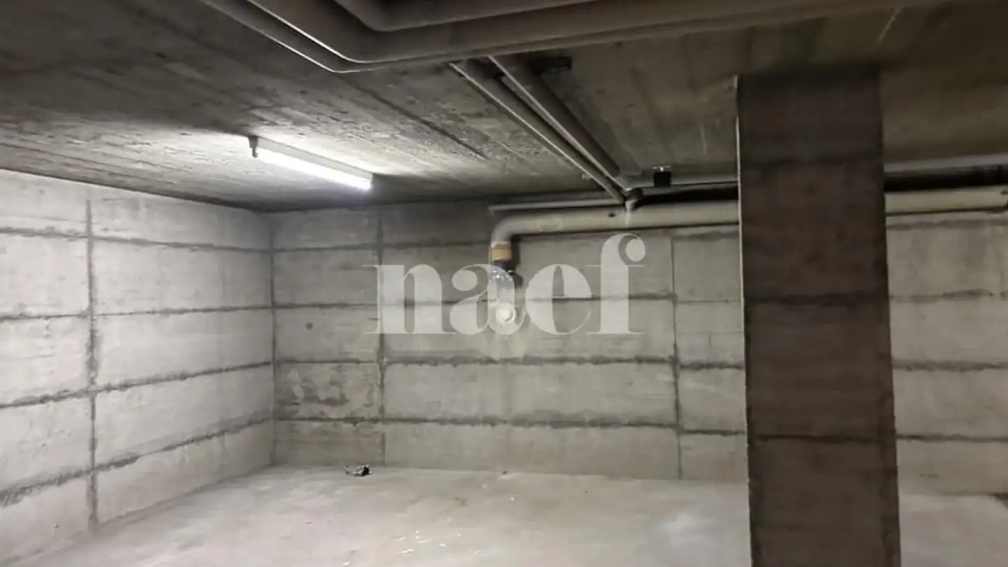 Gewerbe mieten - Chemin De Pré-Gentil 56, 1242 Satigny - Foto 2