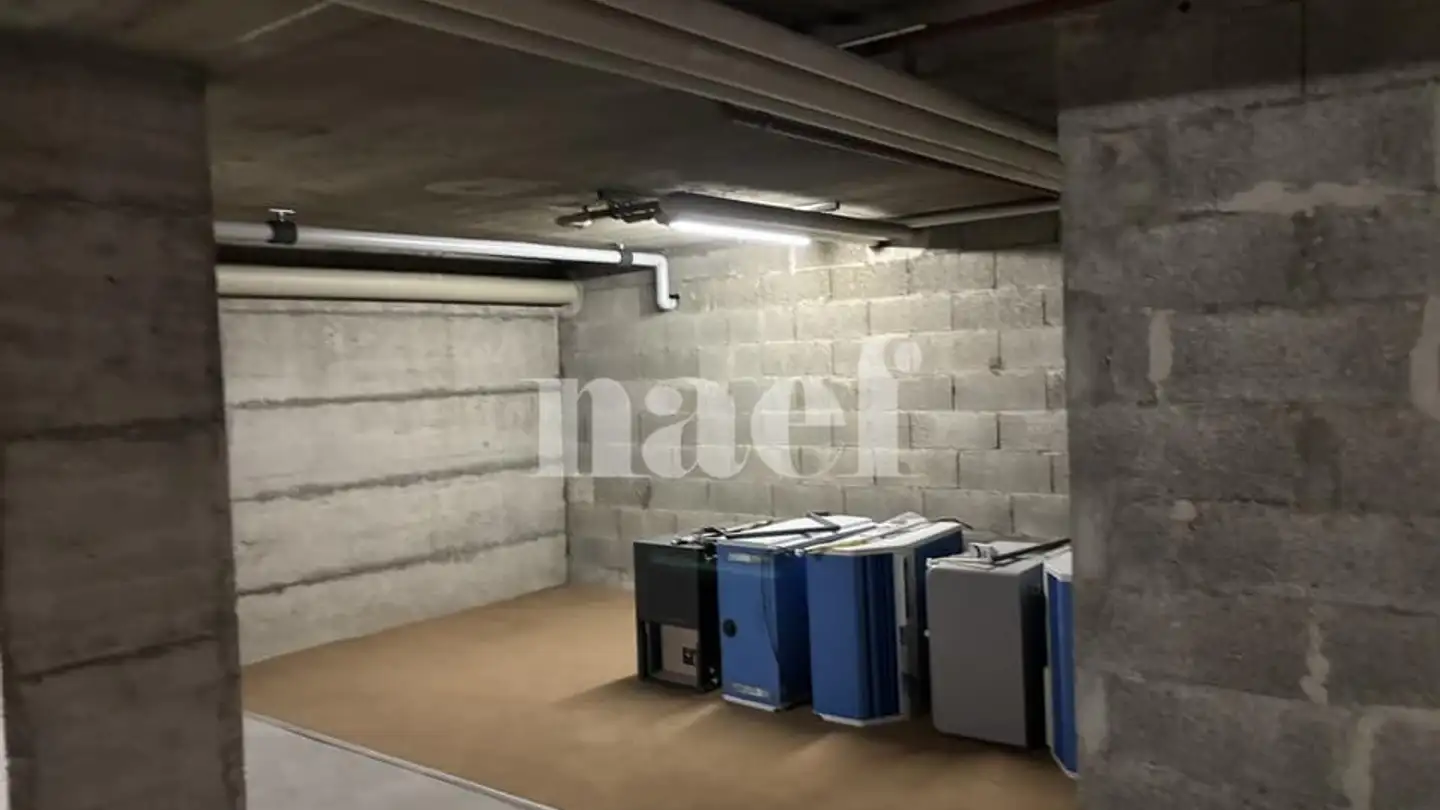 Gewerbe mieten - Chemin De Pré-Gentil 56, 1242 Satigny - Foto 3