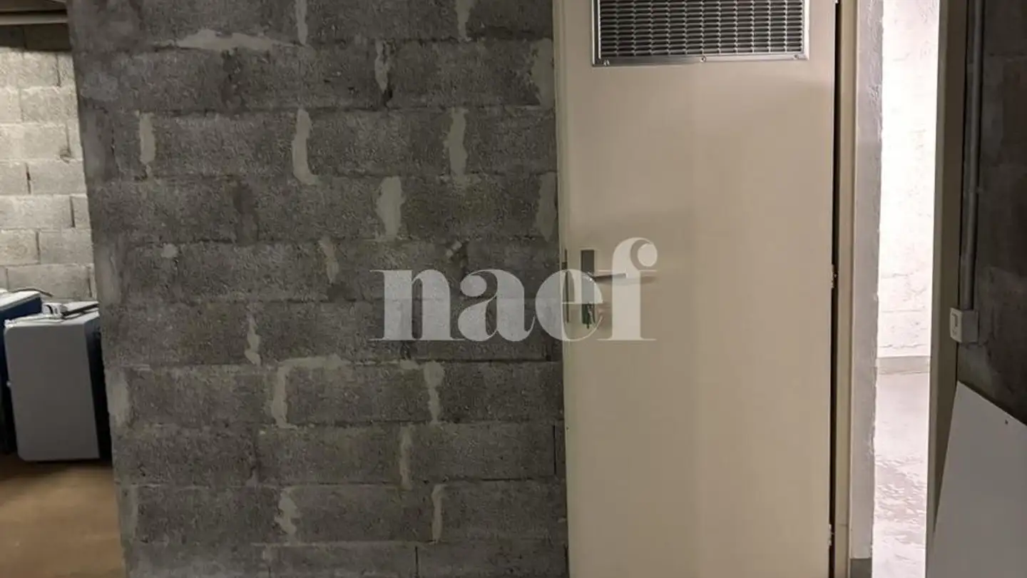 Gewerbe mieten - Chemin De Pré-Gentil 56, 1242 Satigny - Foto 4