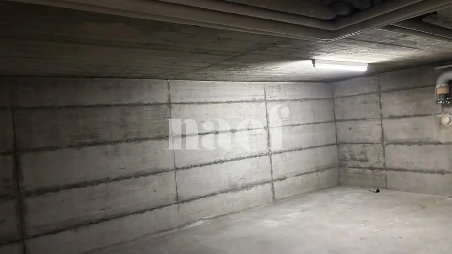 Gewerbe mieten - Chemin De Pré-Gentil 56, 1242 Satigny