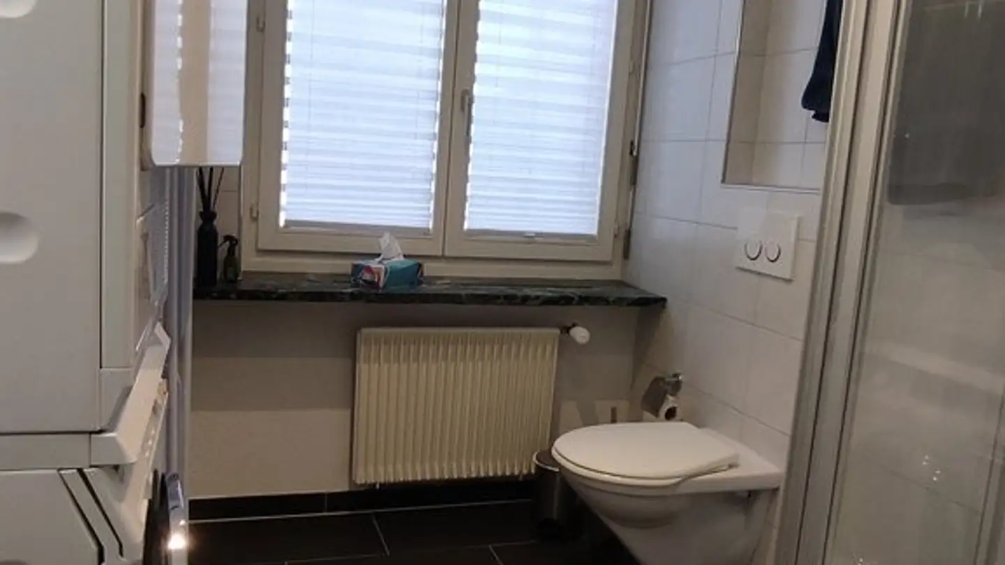 Wohnung mieten - Butzenstrasse 39, 8038 Zürich - Foto 2