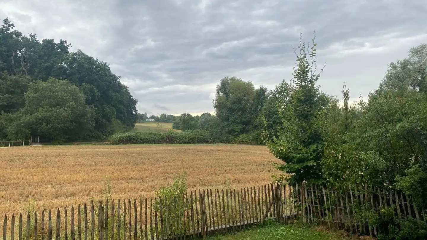 Casa a schiera in affitto - Route d'Annecy, 1256 Troinex - Foto 2