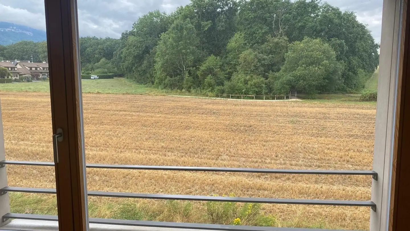 Casa a schiera in affitto - Route d'Annecy, 1256 Troinex - Foto 3