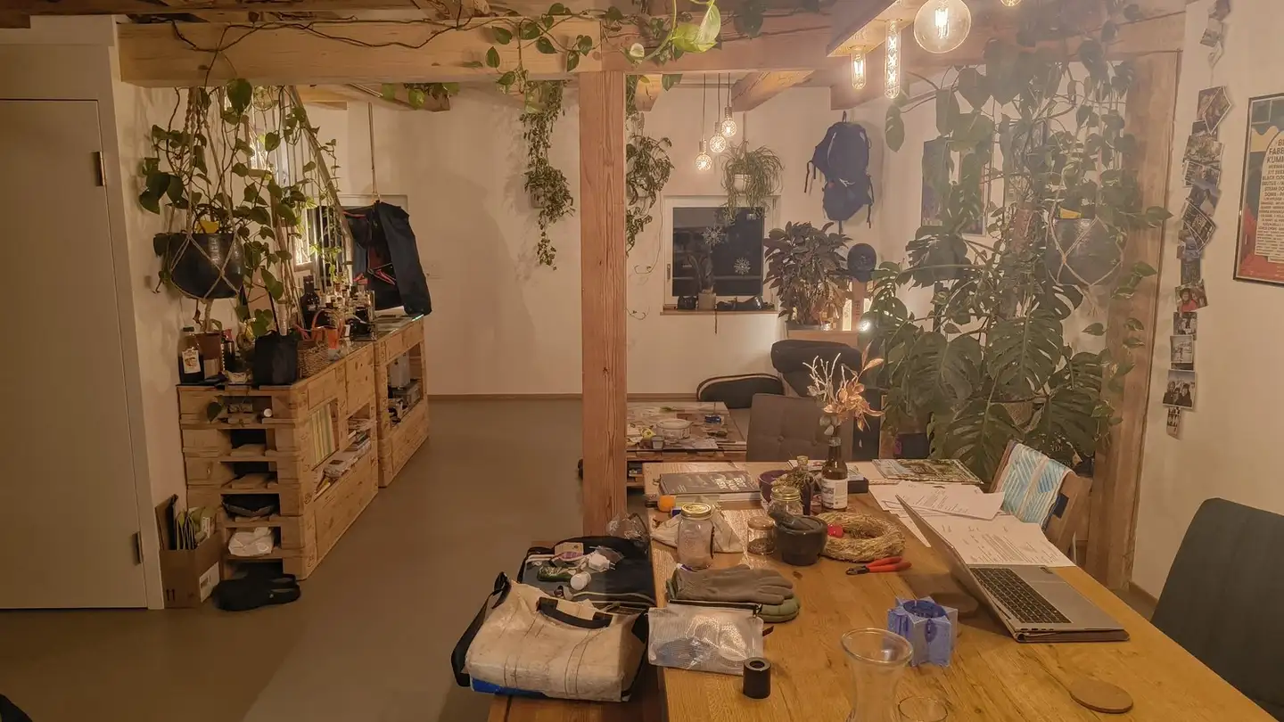 Apartment for rent - Obere Schöntalstrasse 25, 8406 Winterthur