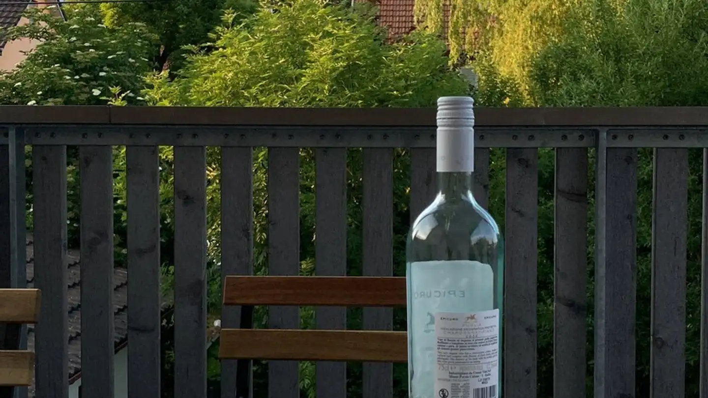 Stanza singola in affitto - 8408 Winterthur - Foto 4