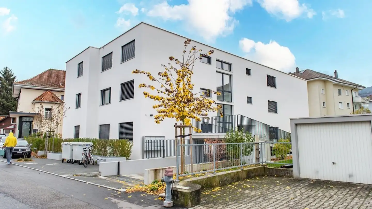Espace de stockage à louer - Stumpenbachstrasse 36, 5734 Reinach AG