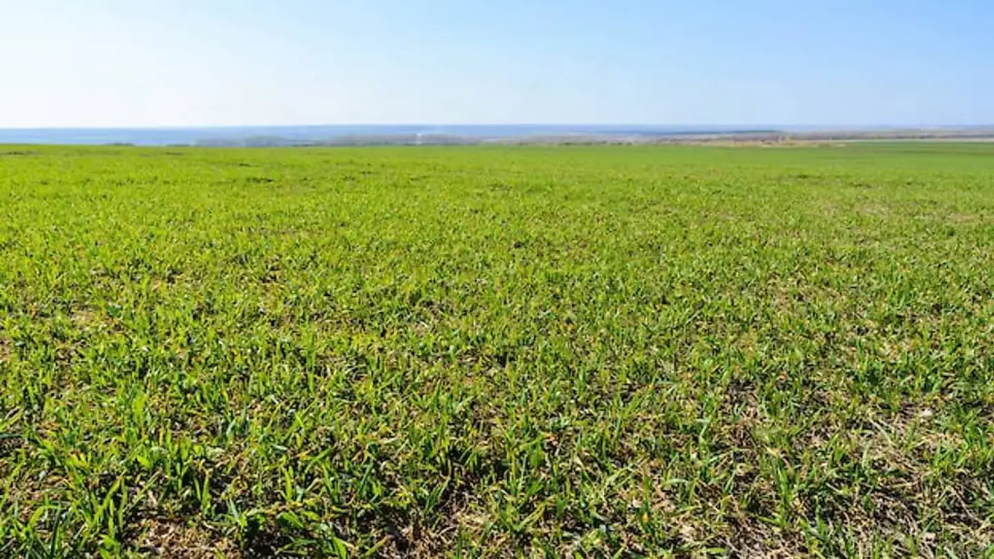 Terrain constructible à vendre - 2000 Neuchâtel