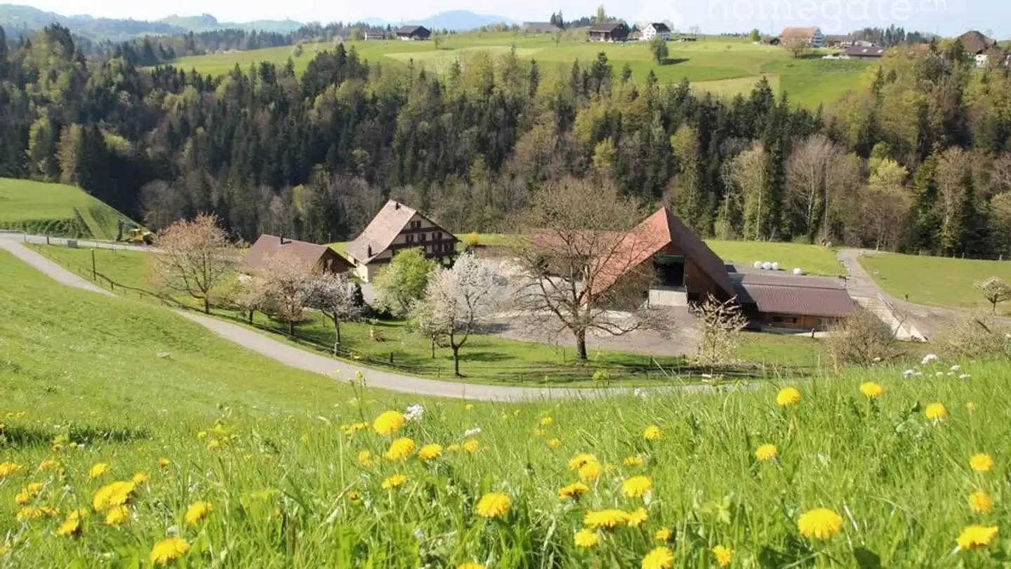 Wohnung mieten - Boden 2, 6313 Finstersee - Foto 3