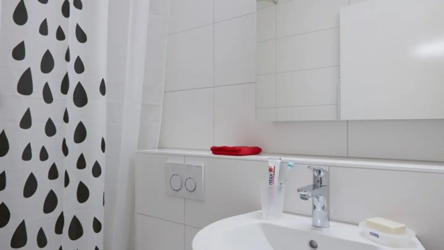 Möblierte Wohnung mieten - Schützenmattstrasse 13, 4051 Basel - Foto 3