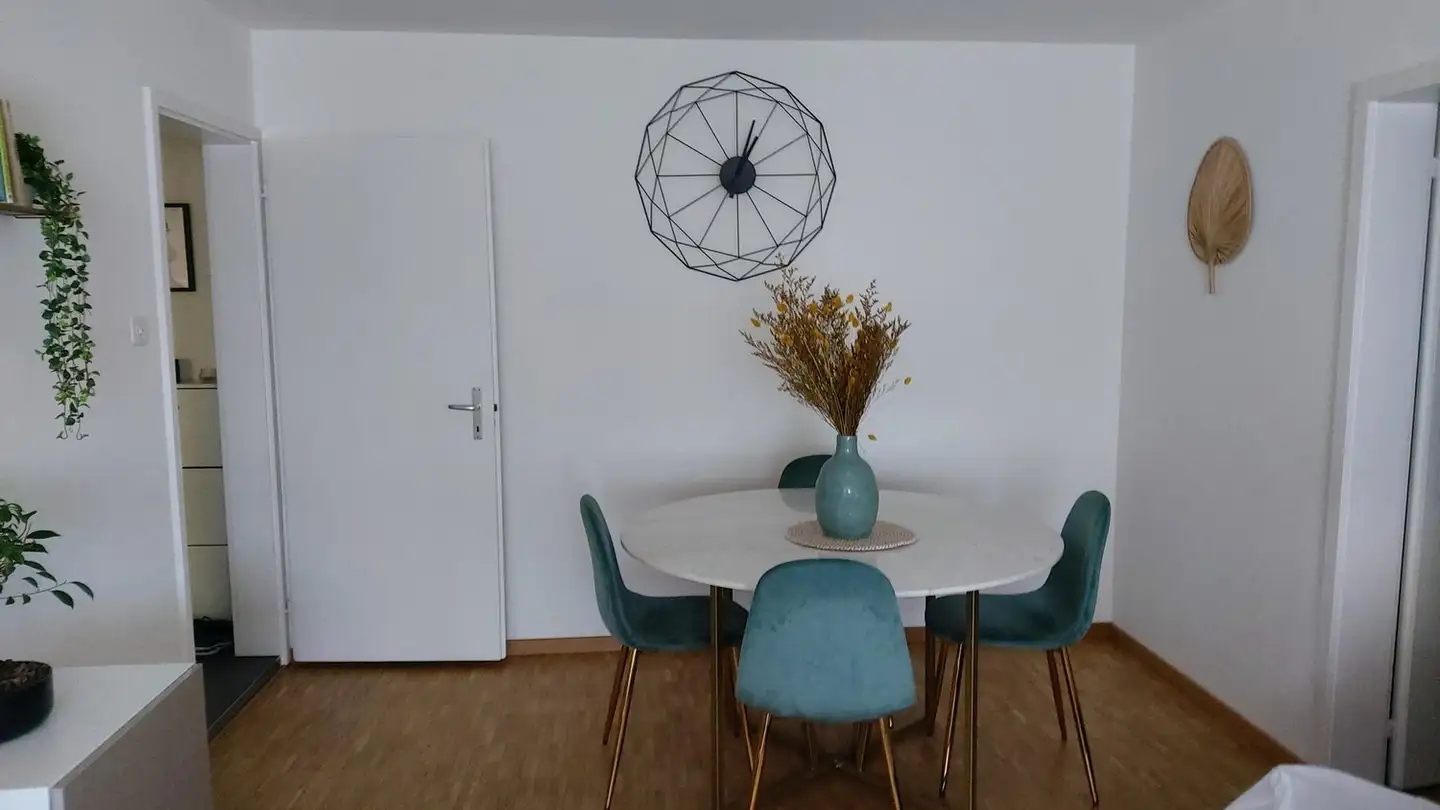 Stanza singola in affitto - 8052 Zürich