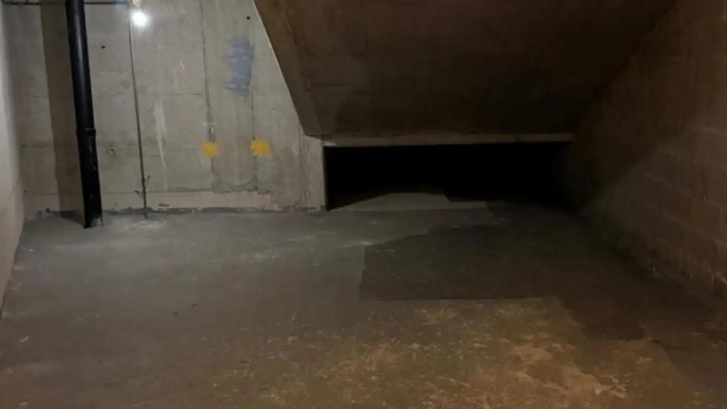 Lagerraum mieten - 1290 Versoix - Foto 3