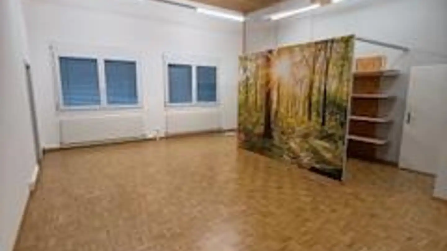 Commerciale in affitto - Schmelziweg 2a, 8889 Plons - Photo 3