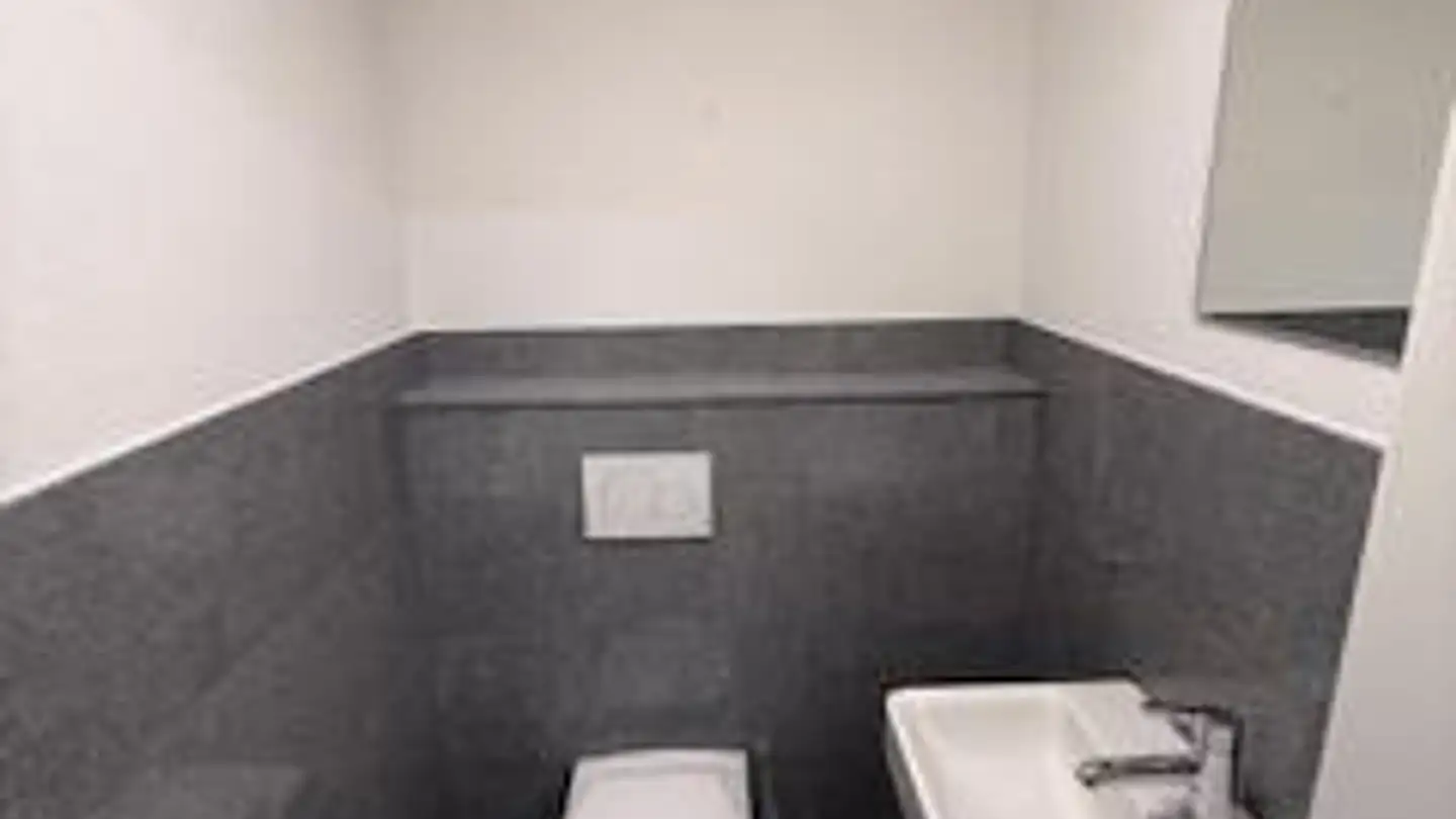 Commerciale in affitto - Schmelziweg 2a, 8889 Plons - Photo 4