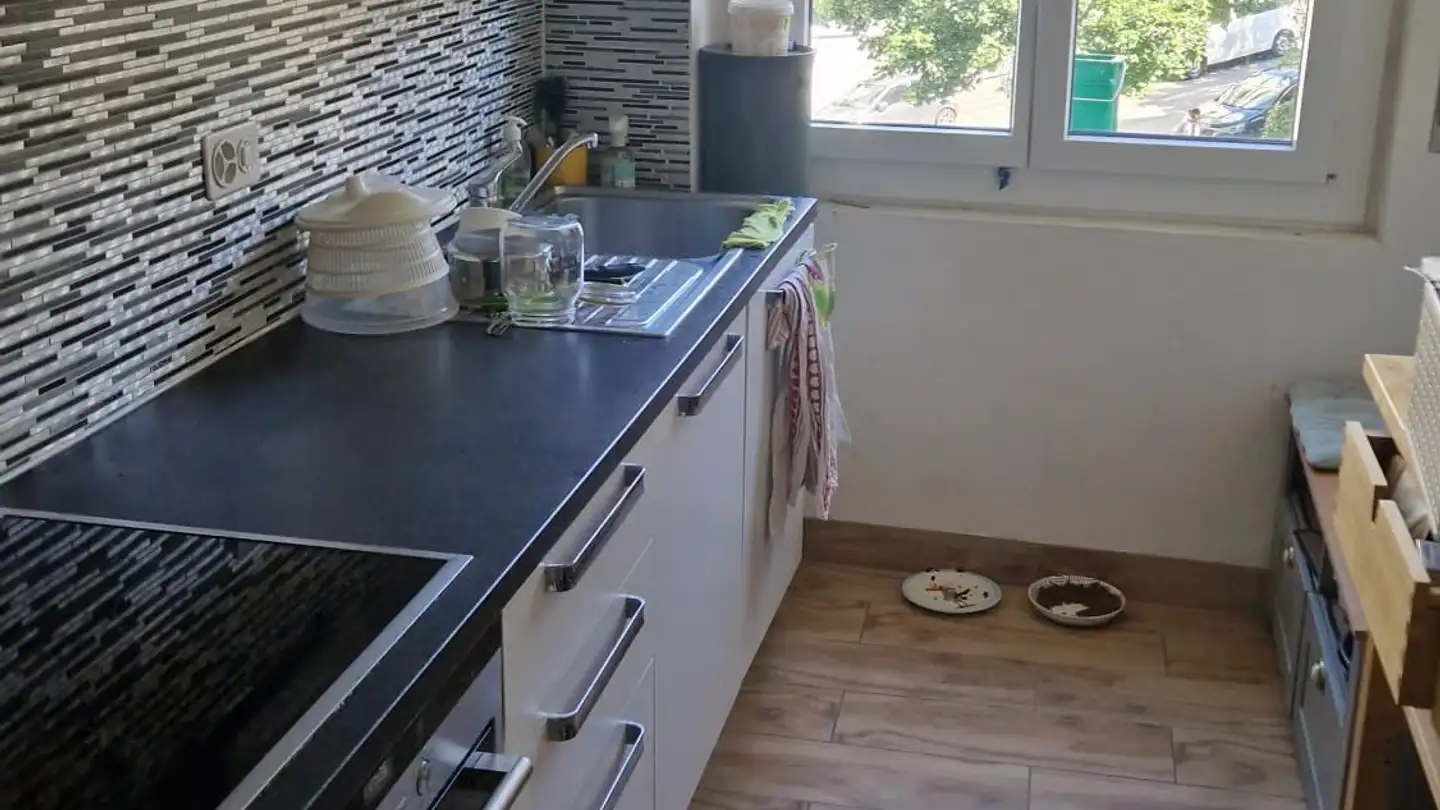 Appartamento in affitto - Chemin Des Paleyres 1, 1006 Lausanne - Foto 2