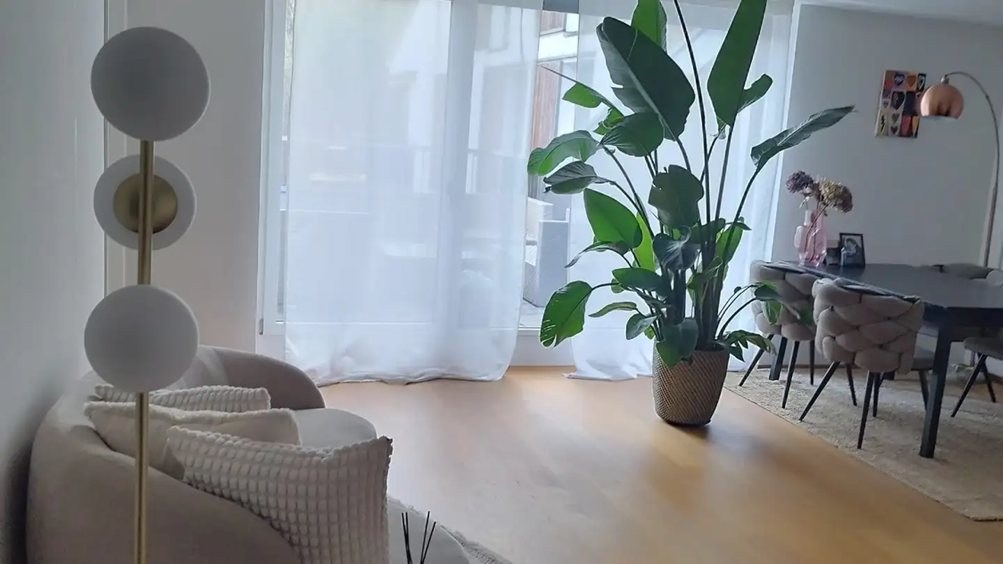 Stanza singola in affitto - 8426 Lufingen