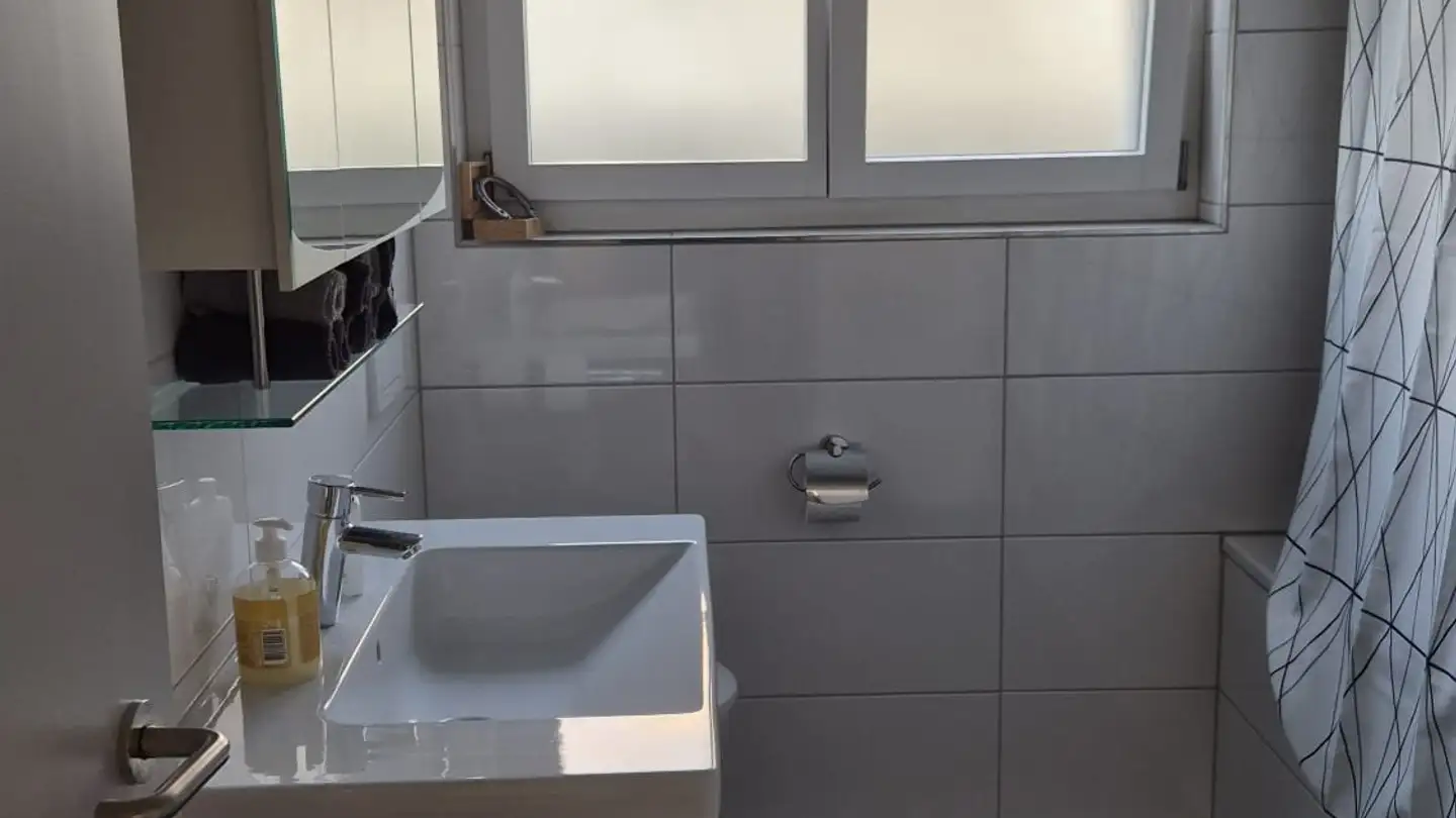 Appartement à louer - 8360 Wallenwil