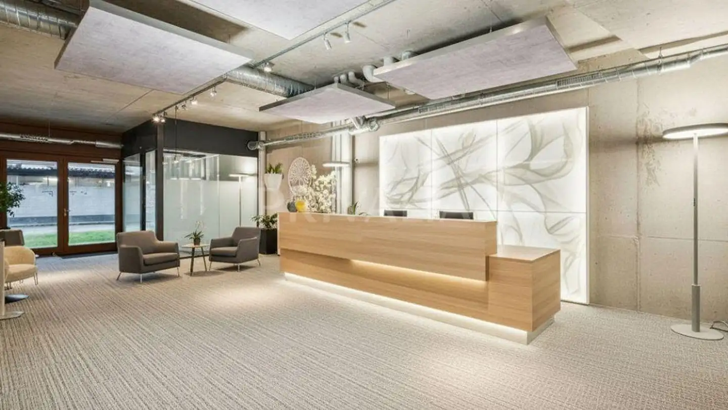 Gewerbe kaufen - 1227 Carouge GE - Foto 2