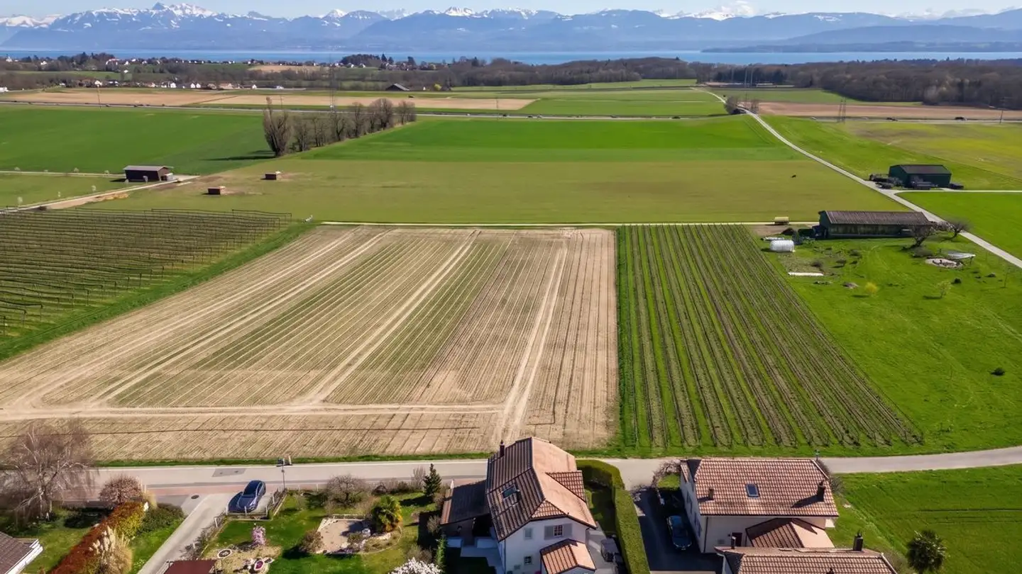 Einfamilienhaus kaufen - 1184 Luins