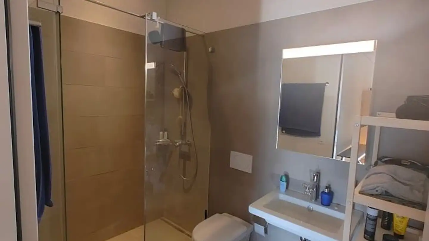 Furnished apartment for rent - Badenerstrasse 531, 8048 Zürich