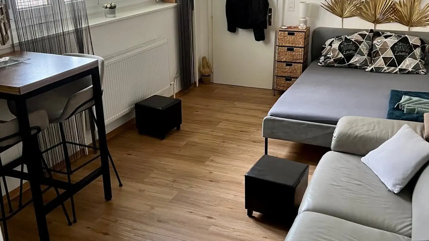 Appartamento in affitto - Avenue De Belmont, 1820 Montreux - Foto 4