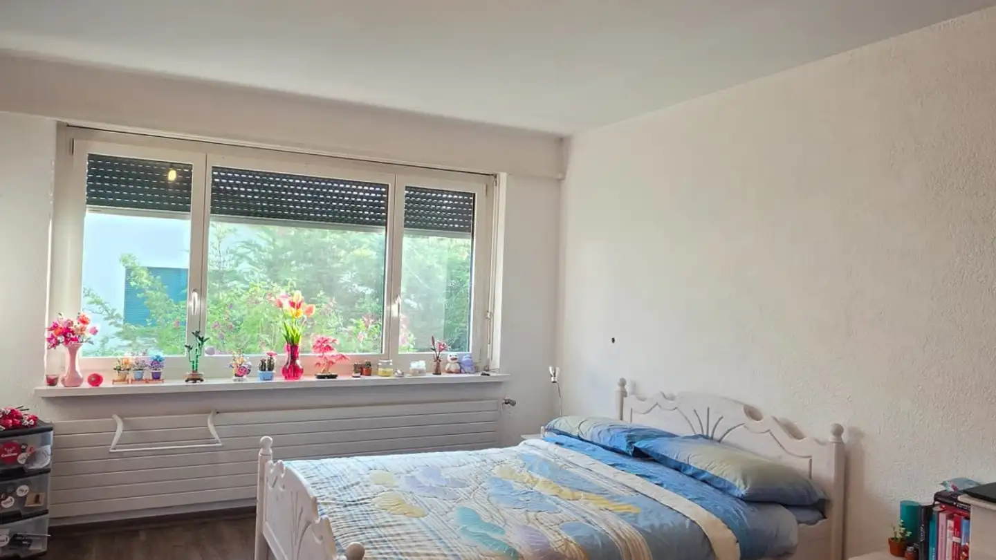 Appartamento in affitto - Haselweg 4, 5610 Wohlen AG