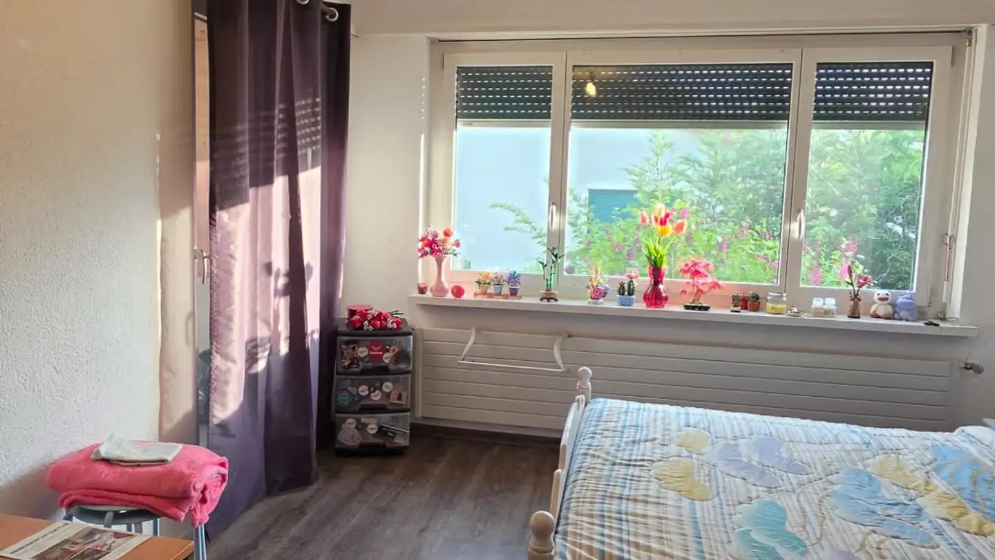 Appartamento in affitto - Haselweg 4, 5610 Wohlen AG - Foto 3