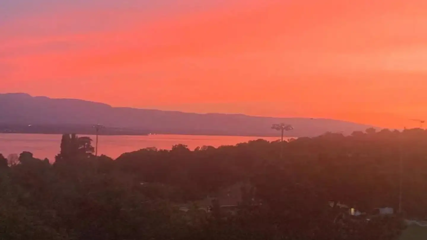 Appartamento in vendita - 1223 Cologny