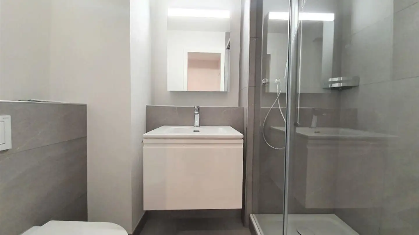 Appartement à louer - Plattenweg 19, 8200 Schaffhausen - Photo 3