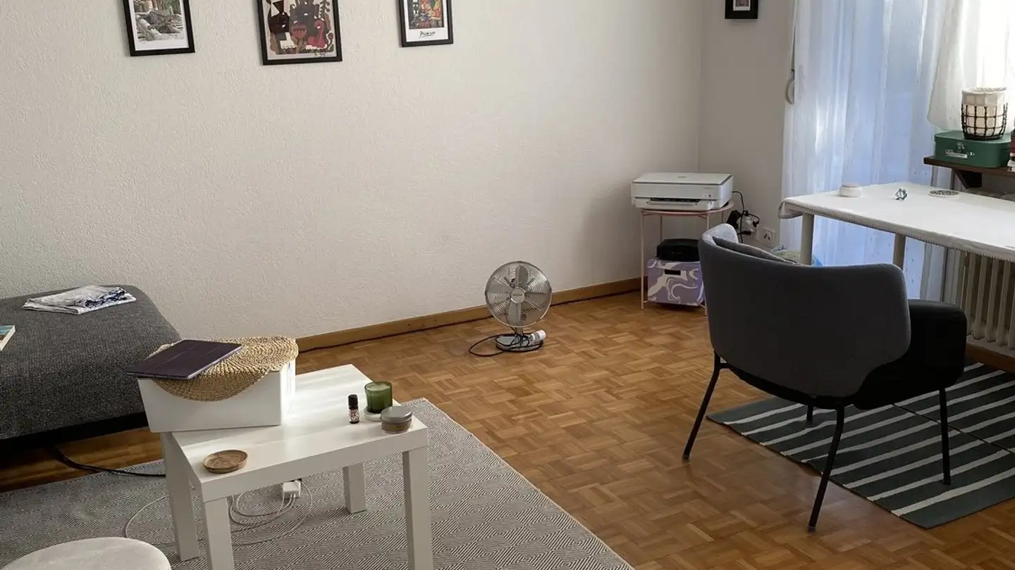 Appartement à louer - Herbstweg, 8050 Zürich - Photo 2