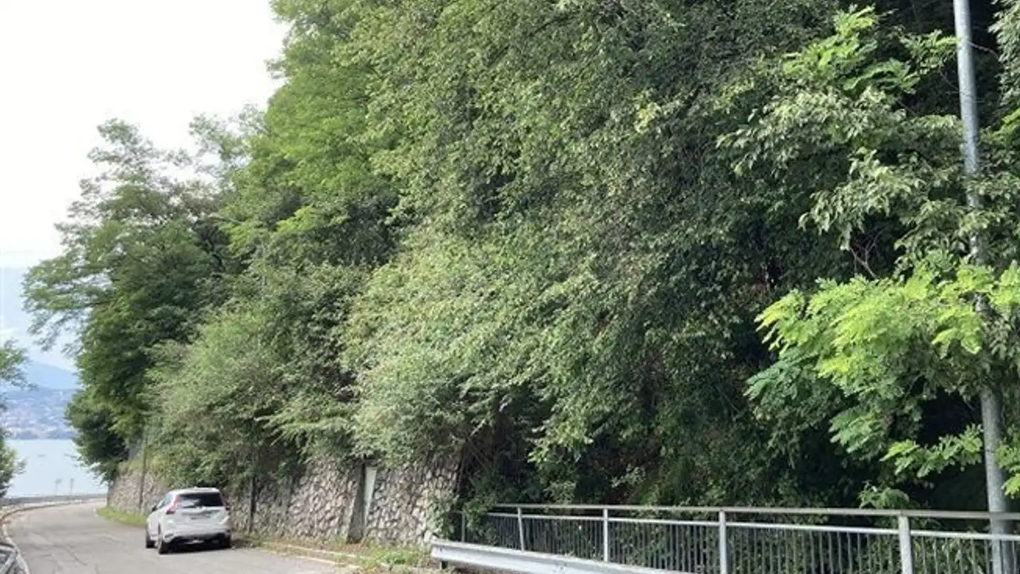 Terreno edificabile in vendita - 6816 Bissone - Foto 2