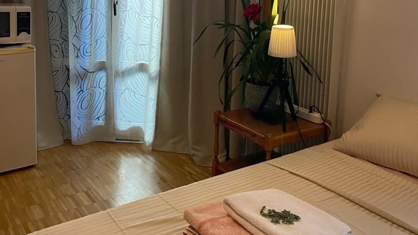 Single room for rent - 1205 Genève - Photo 2