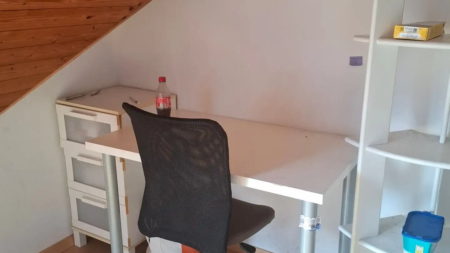 Appartamento ammobiliato in affitto - Schwandenholzstrasse 242, 8046 Zürich - Foto 2