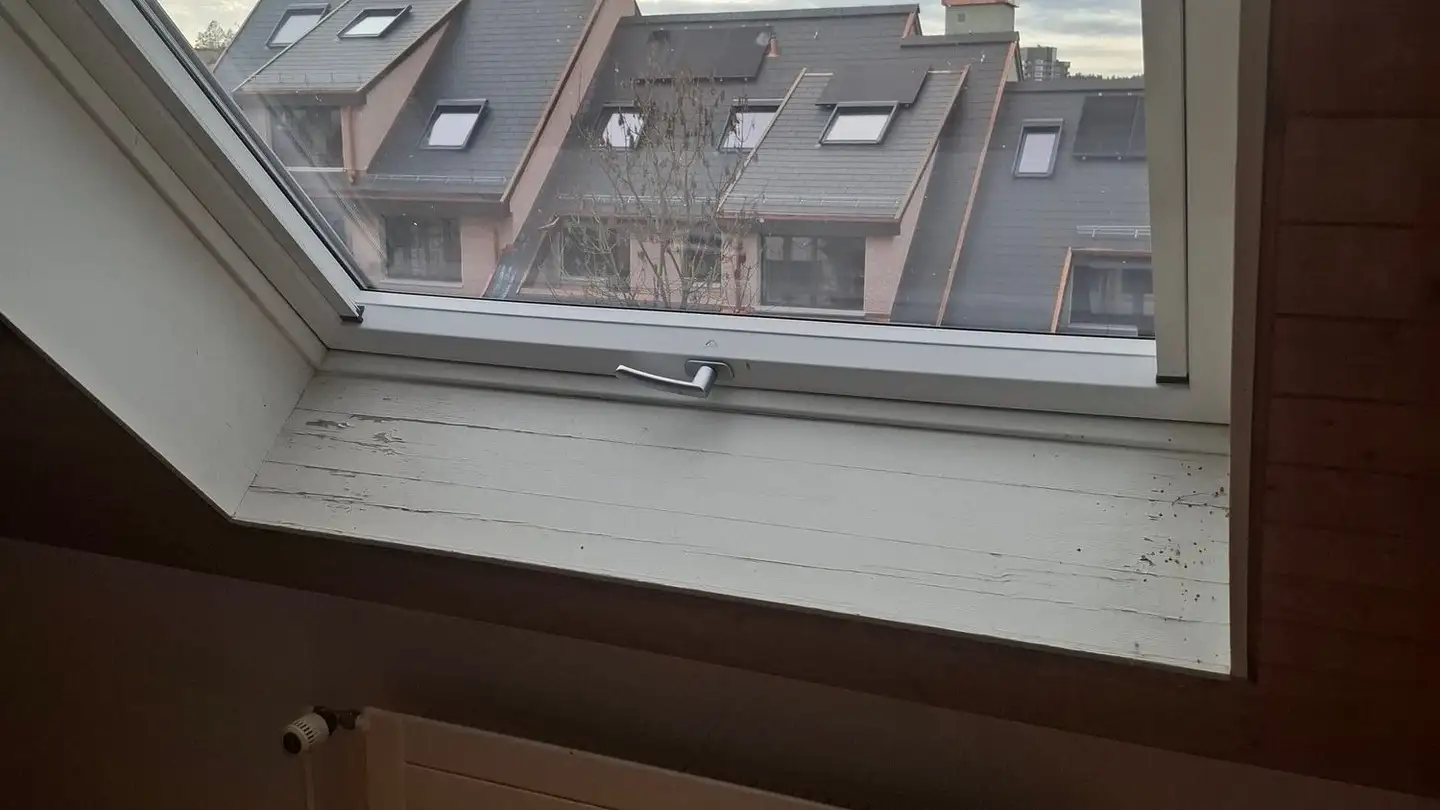 Appartamento ammobiliato in affitto - Schwandenholzstrasse 242, 8046 Zürich - Foto 3