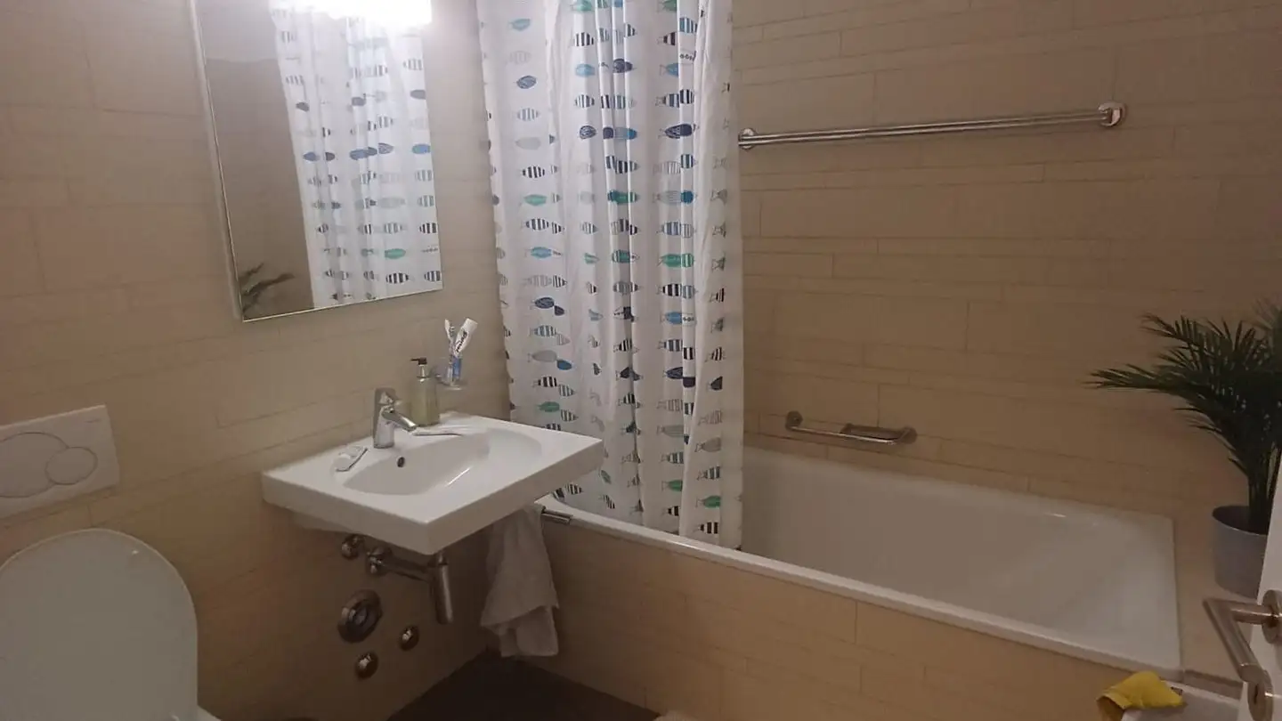 Studio à louer - Wasserschöpfi 23, 8055 Zürich - Photo 3