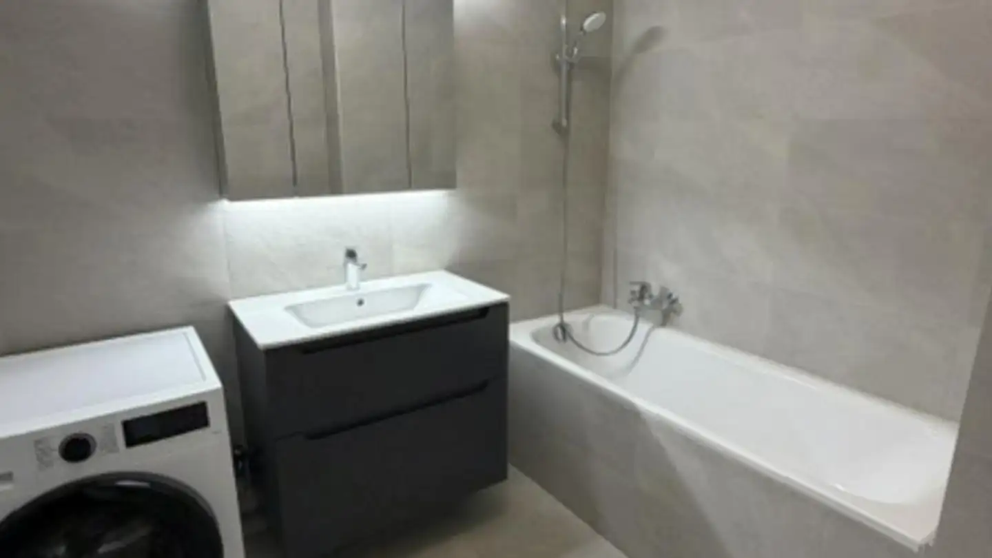 Duplex for rent - Route de Drize 14, 1227 Carouge GE - Photo 2