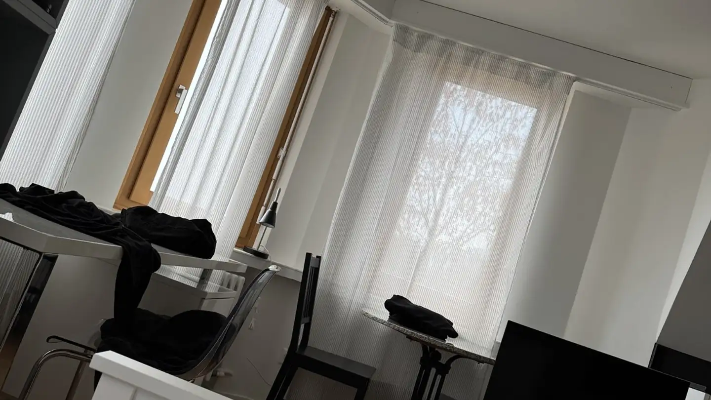 Furnished apartment for rent - Lägernstrasse 14, 8037 Zürich - Photo 3