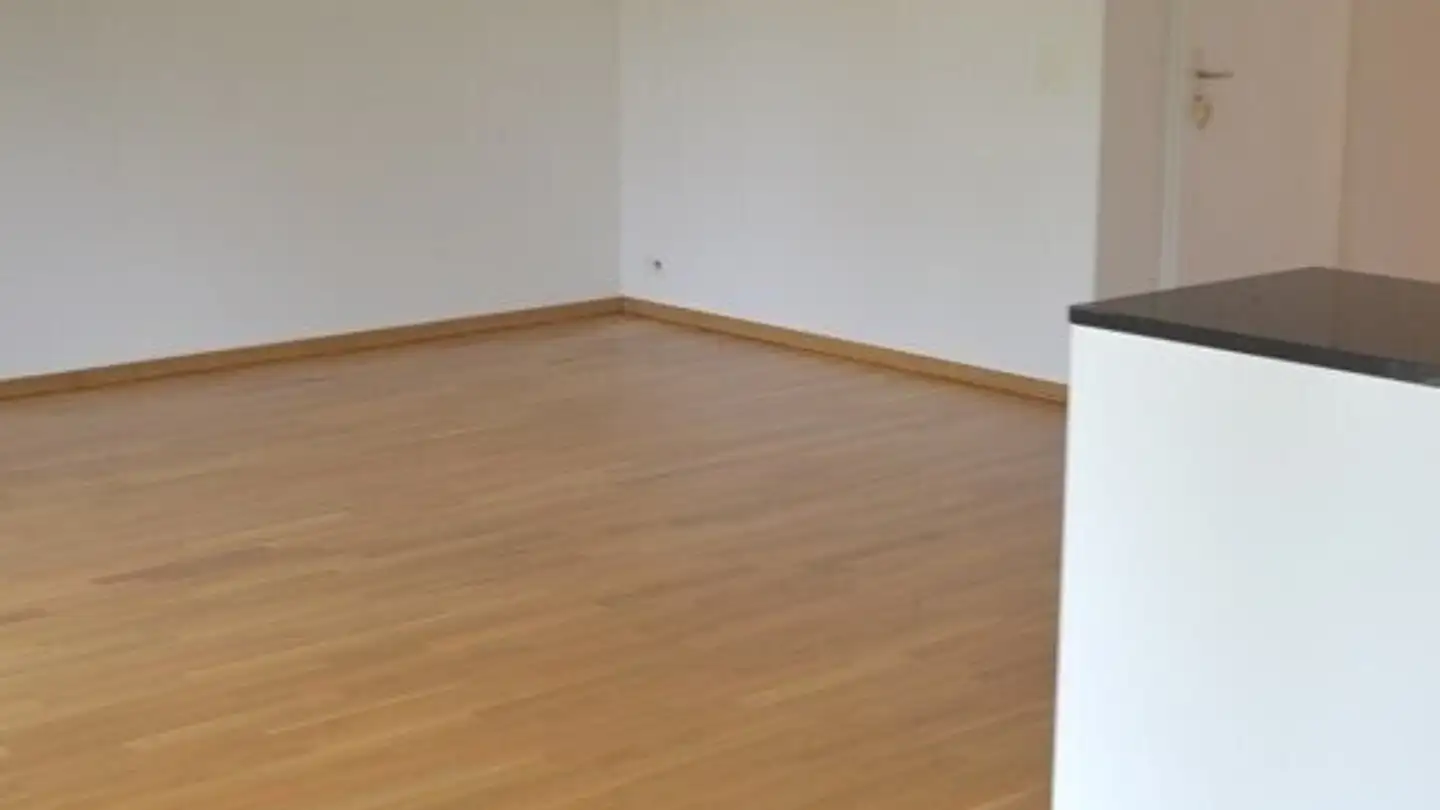 Apartment for rent - Am Dorfbach 21, 8308 Illnau - Photo 2