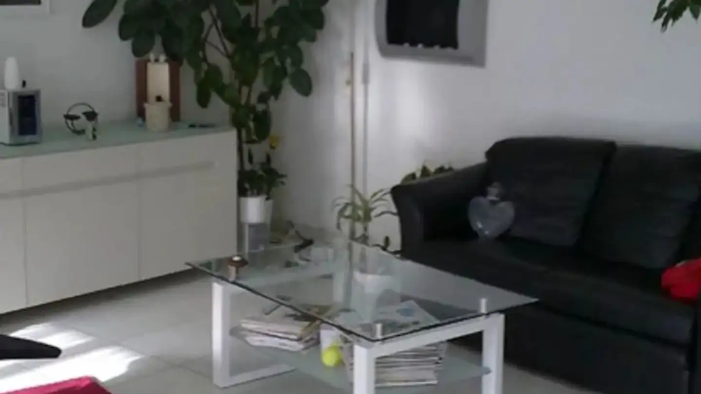 Wohnung mieten - Rosengartenstrasse, 8107 Buchs ZH - Foto 2