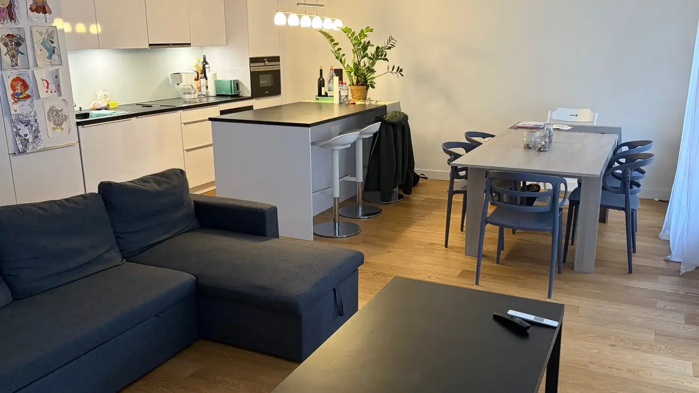 Appartamento in affitto - Rue Merle-D'aubigné 24, 1207 Genève