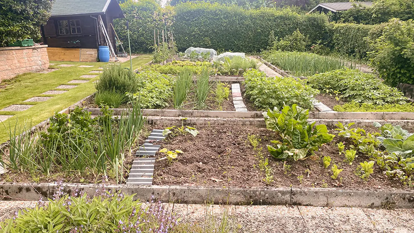 Villa kaufen - 1260 Nyon